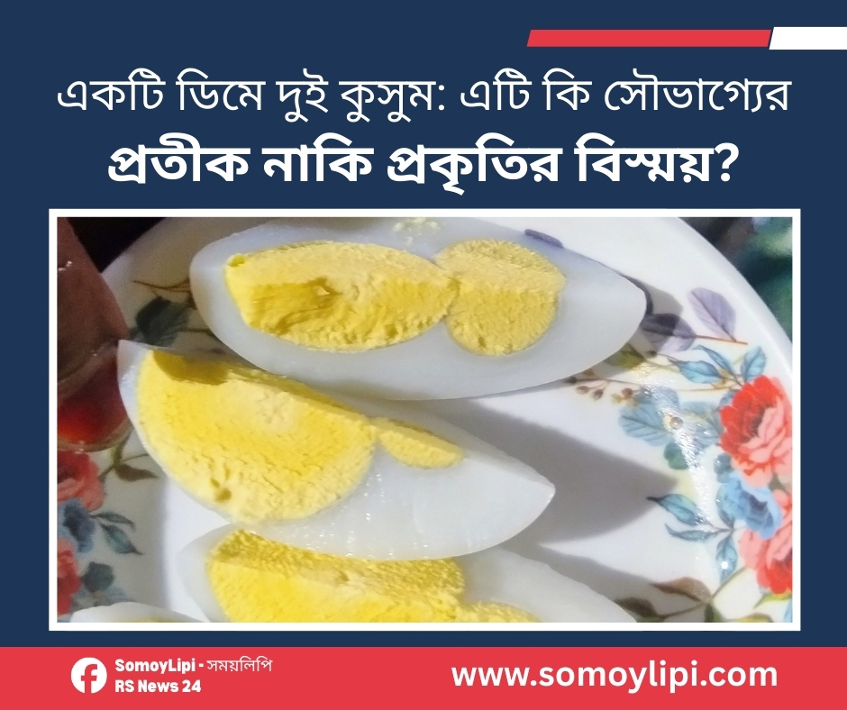 একটি ডিমে দুই কুসুম এটি কি সৌভাগ্যের প্রতীক নাকি প্রকৃতির বিস্ময়