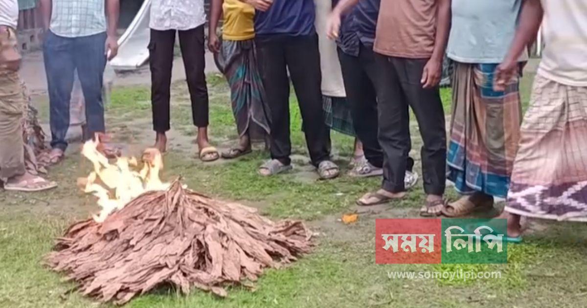 somoylipi.com post banner  - 2026-05-17T140743.543